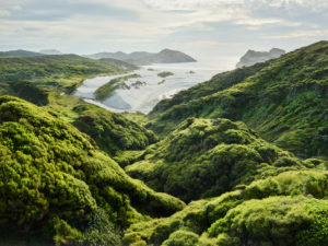 Küste nahe Wharariki Beach, Tasman, Südinsel, Neuseeland, Ozeanien Küste nahe Wharariki Beach, Tasman, Südinsel, Neuseeland, Ozeanien